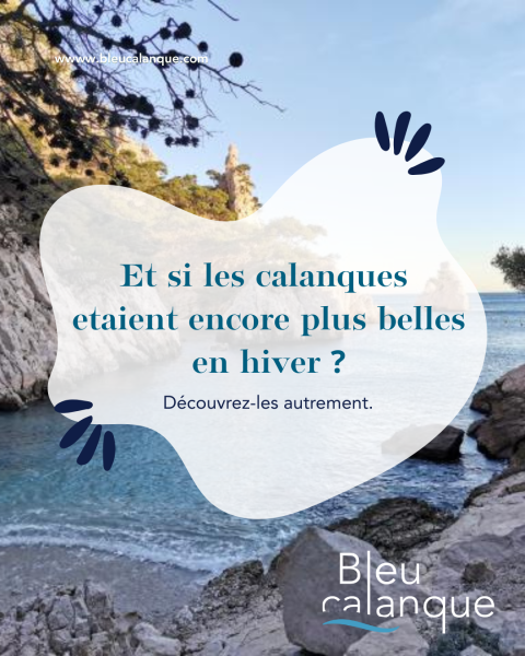 Et si les calanques étaient encore plus belles en hiver ?
