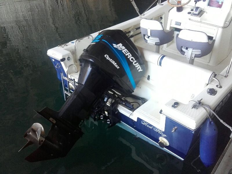 Vente bateau coque open White Shark 205+135 Cv Mercury Optimax  VENDU  VENDU   VENDU