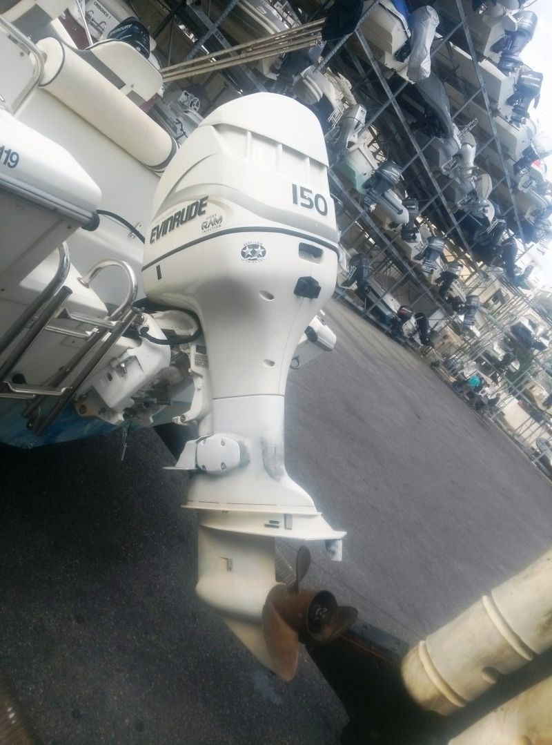 Bateau Open White Shark 205 + 150cv evinrude Ficht de 2000  VENDU   VENDU   VENDU